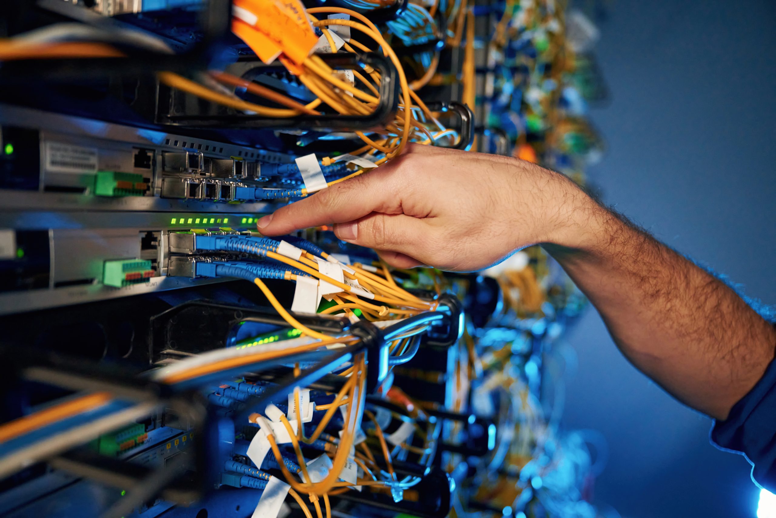 Network Hizmetleri